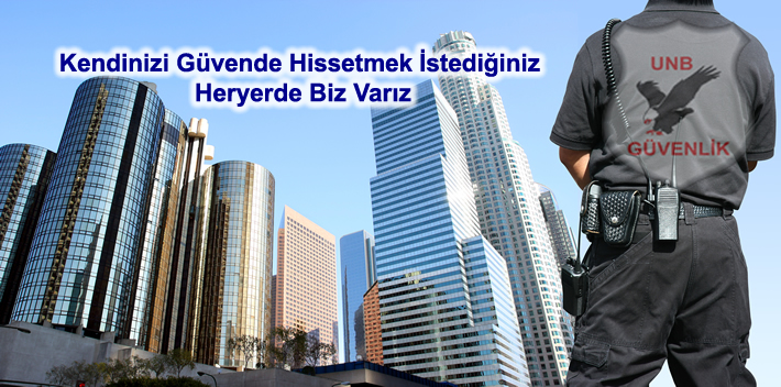 Web Tasarım